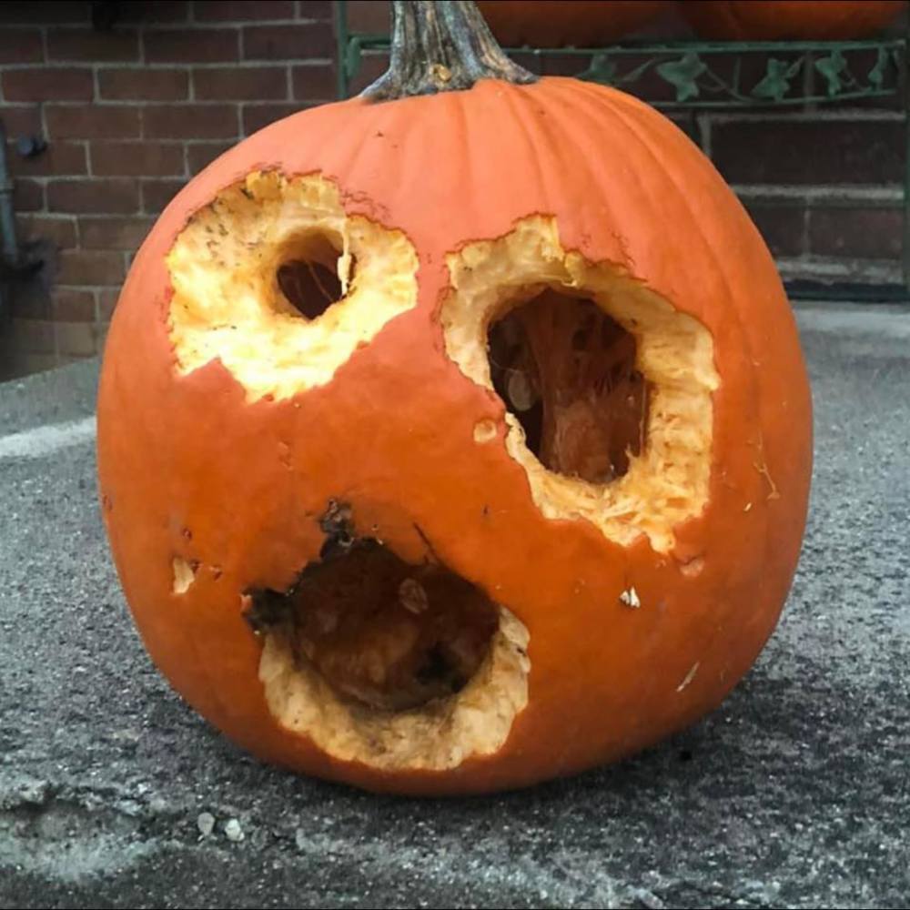 Meet your Posher, Morgan